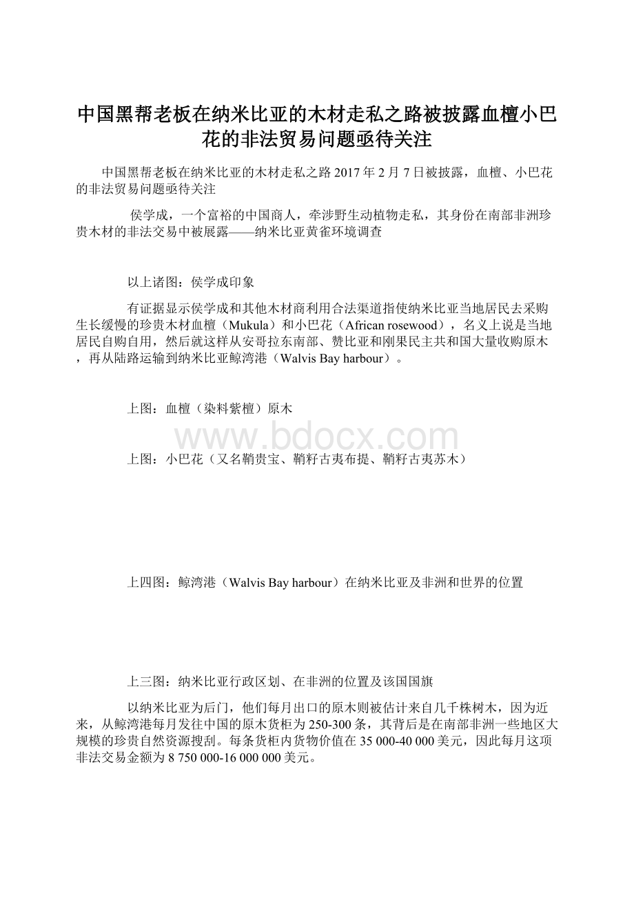 中国黑帮老板在纳米比亚的木材走私之路被披露血檀小巴花的非法贸易问题亟待关注.docx