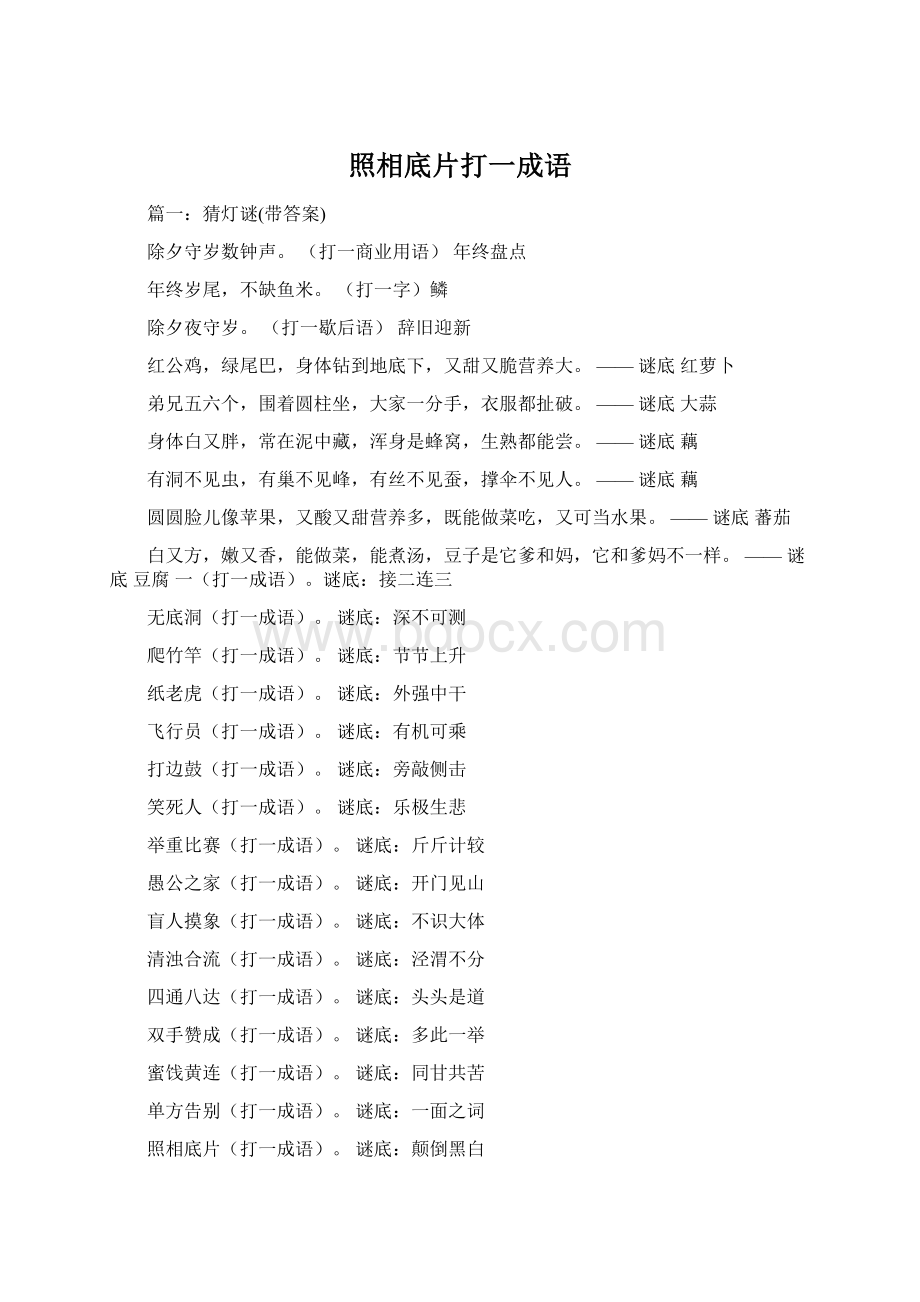 照相底片打一成语文档格式.docx