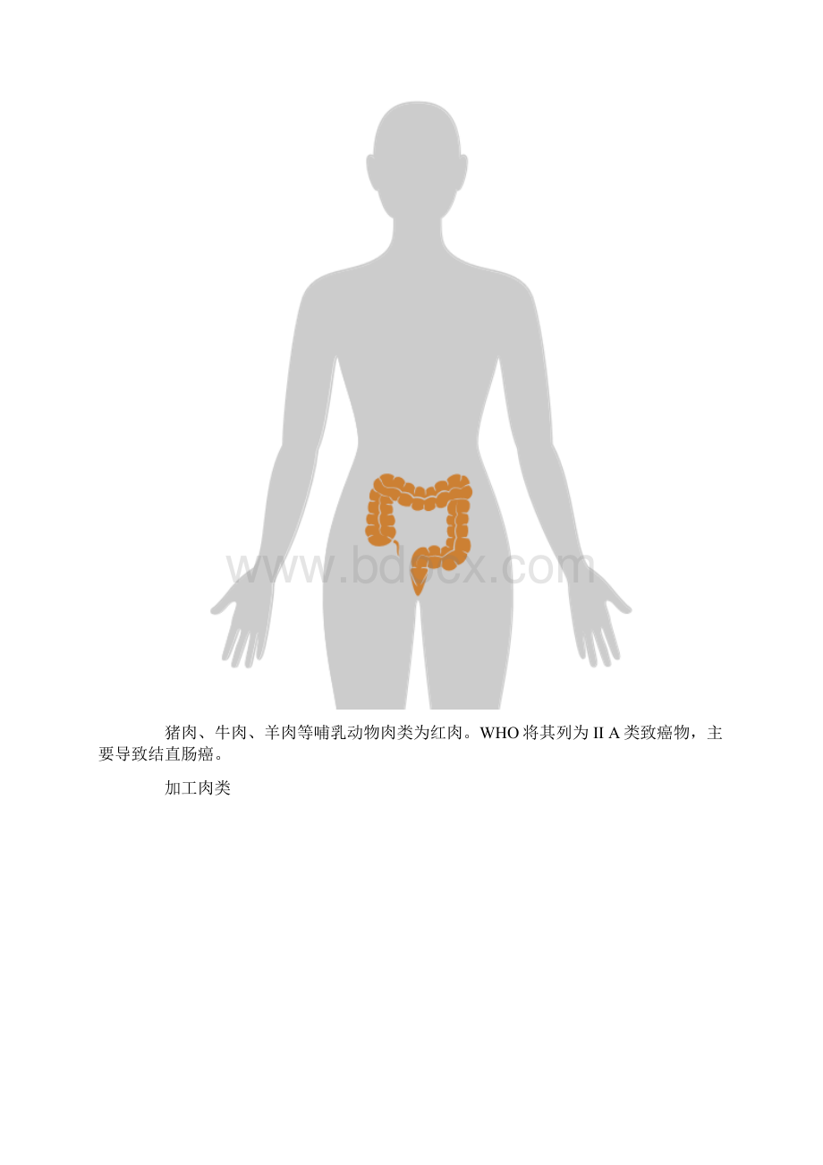 20张癌症人体地图告诉你致癌真相.docx_第3页