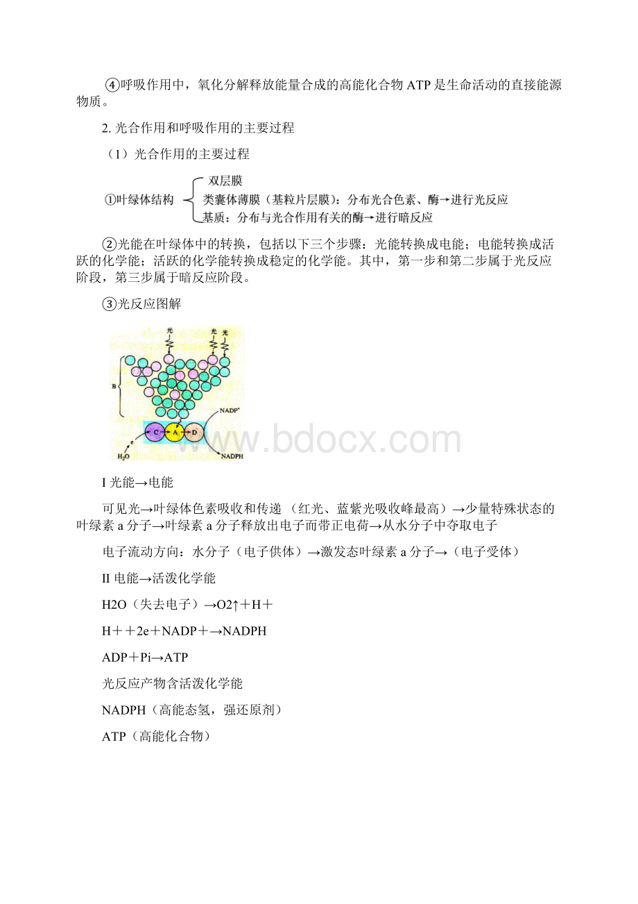 呼吸作用和光合作用的知识梳理及练习.docx_第2页