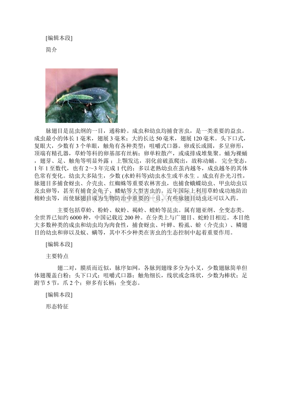 脉翅目.docx_第2页