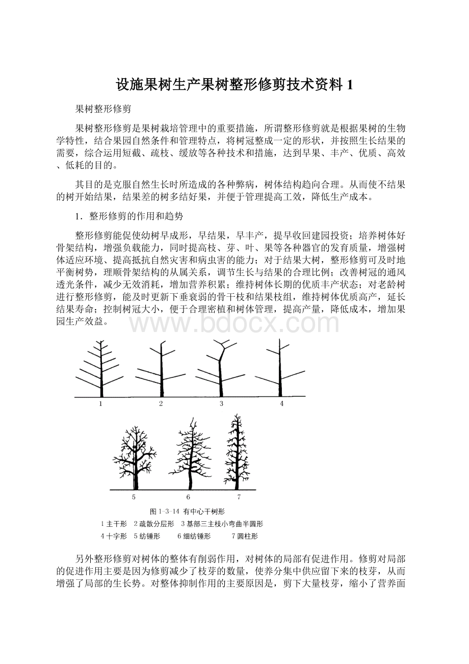 设施果树生产果树整形修剪技术资料1.docx