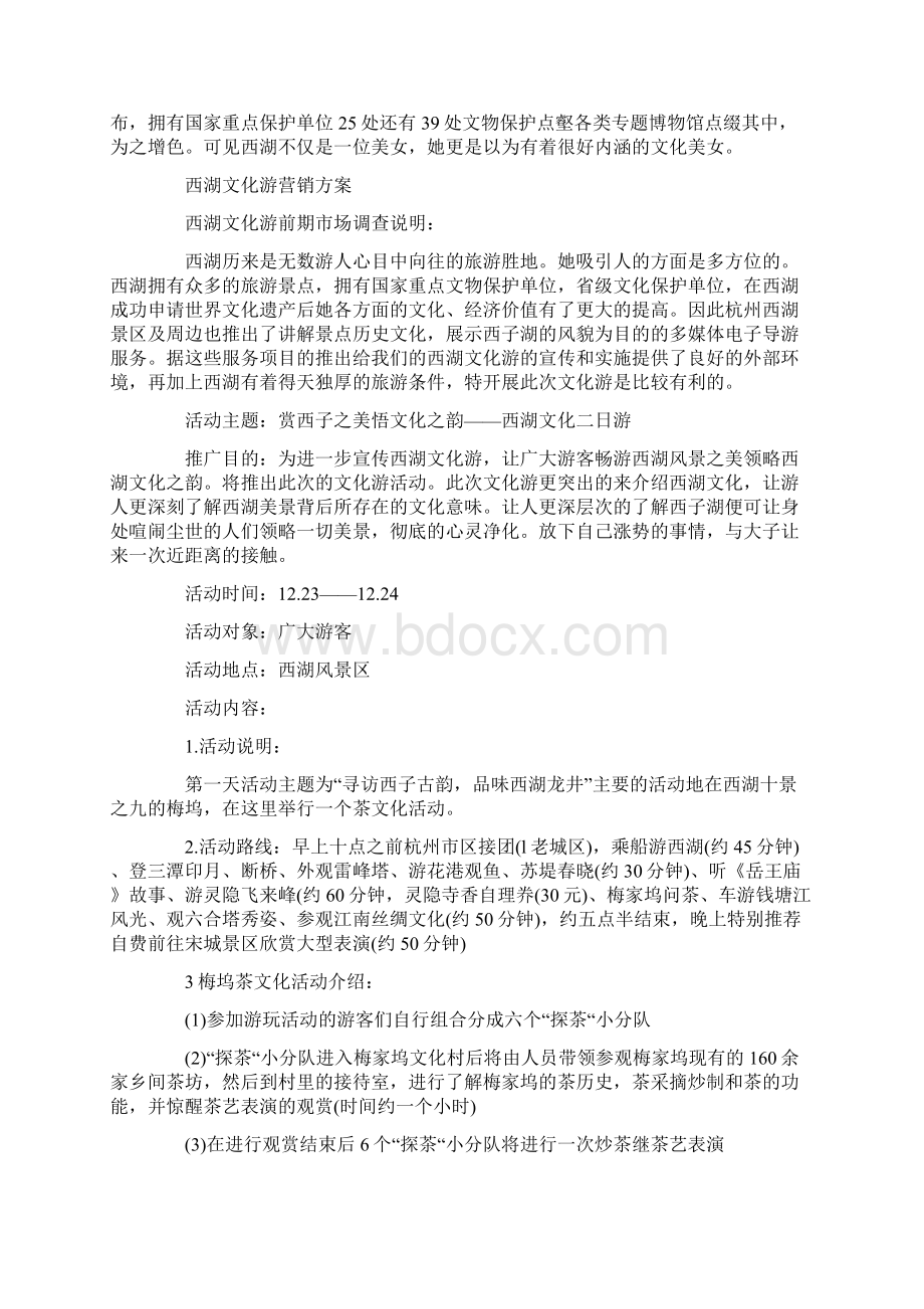 项目开发主题活动方案.docx_第3页