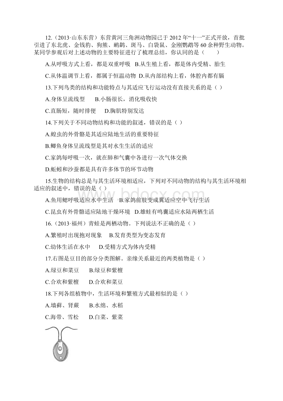 物种的多样性检测题Word下载.docx_第3页