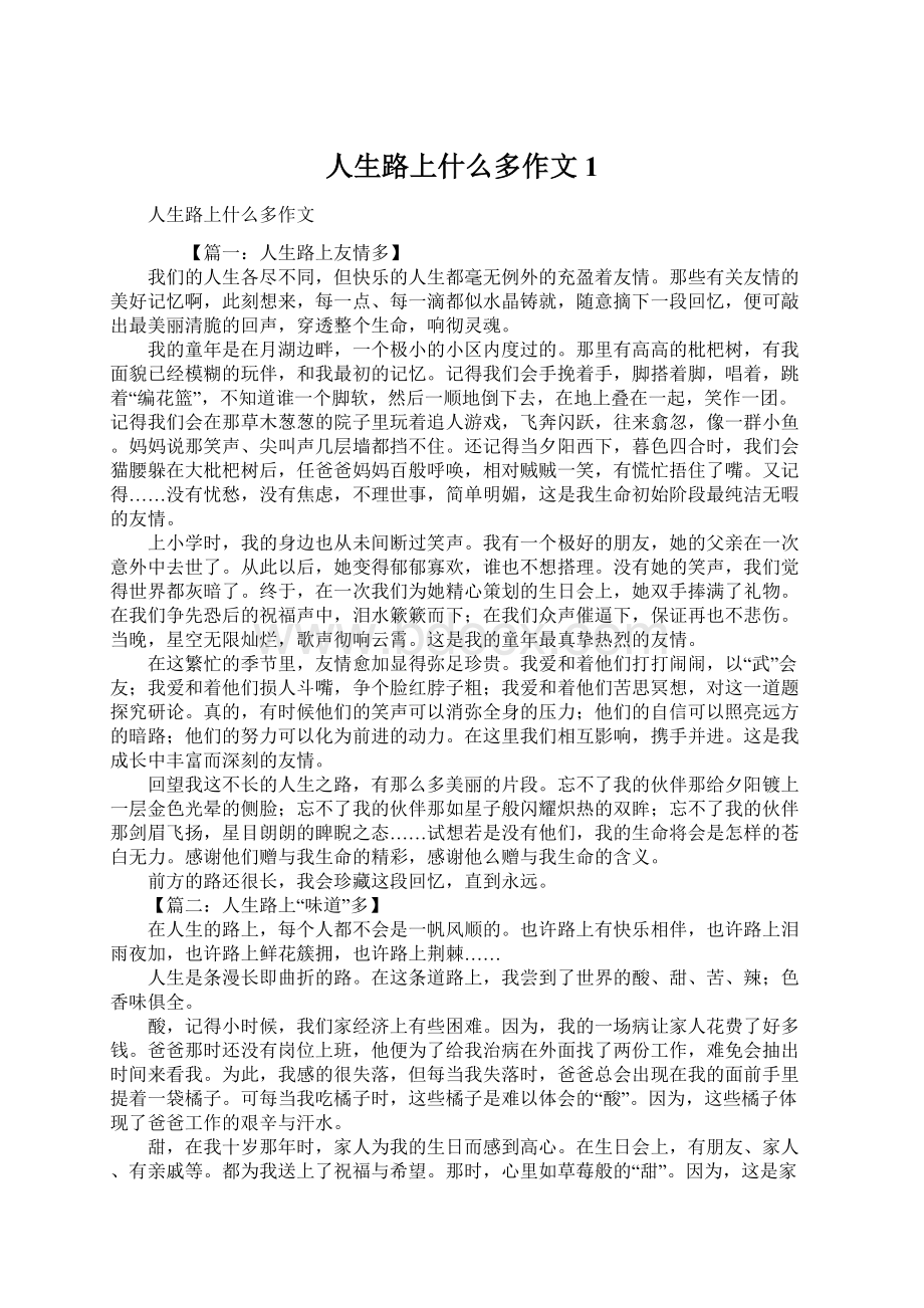 人生路上什么多作文1Word文档下载推荐.docx