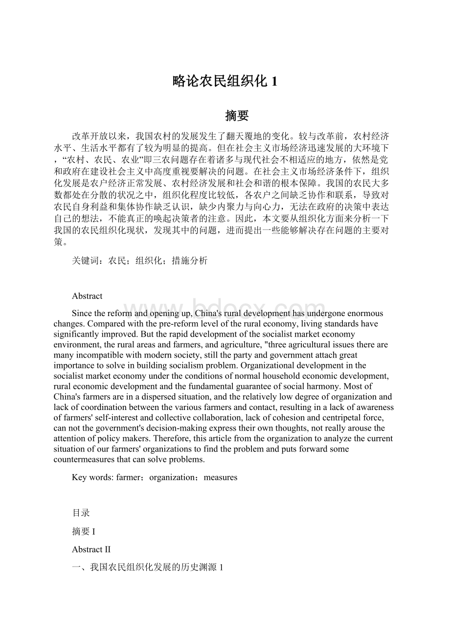 略论农民组织化1.docx