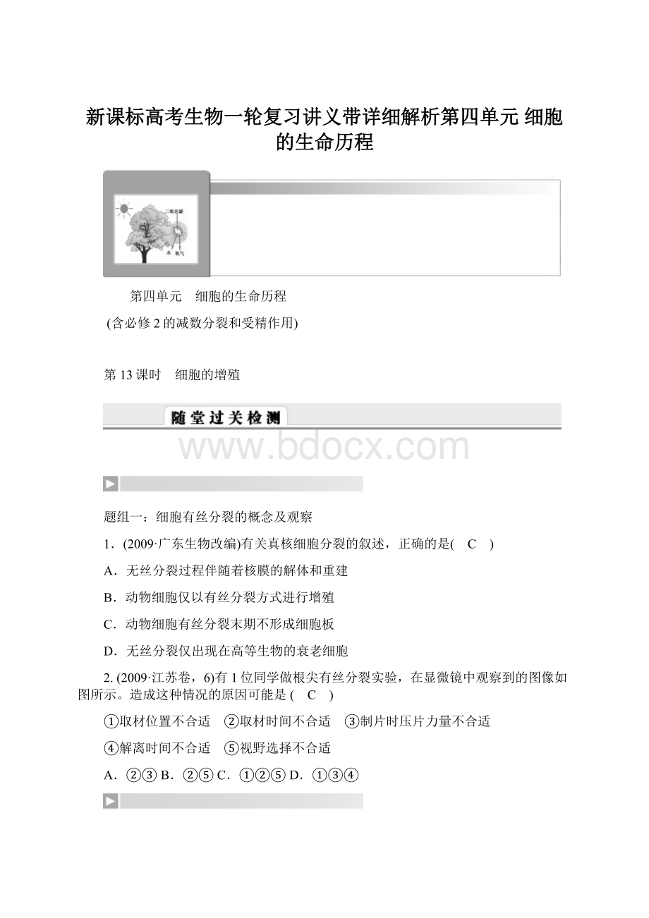 新课标高考生物一轮复习讲义带详细解析第四单元 细胞的生命历程.docx_第1页