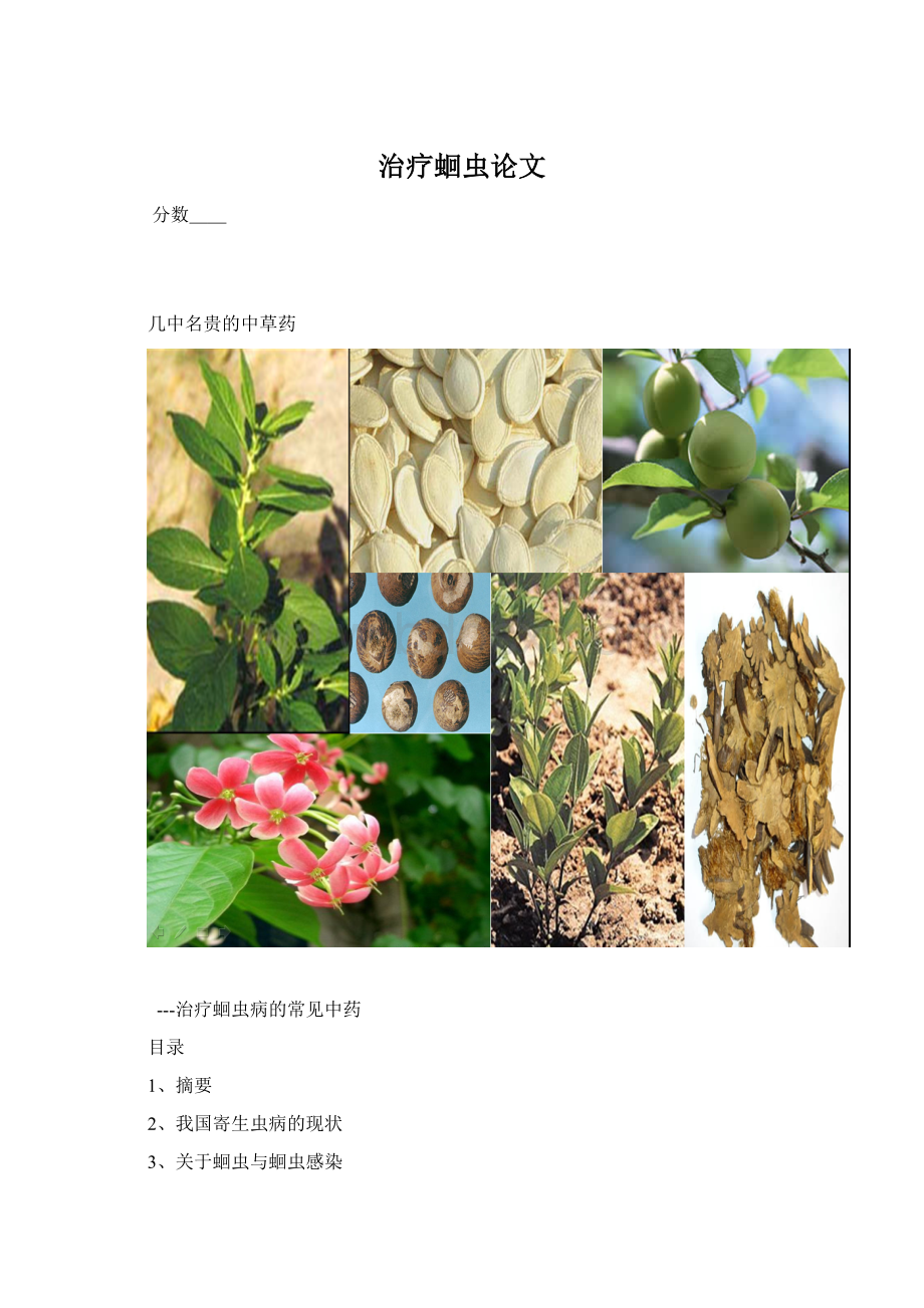 治疗蛔虫论文Word格式文档下载.docx