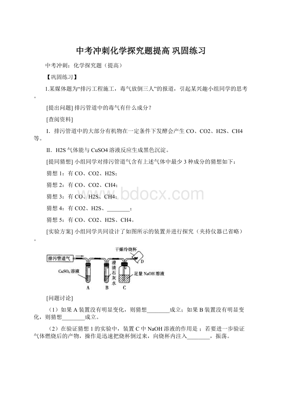 中考冲刺化学探究题提高 巩固练习Word格式.docx