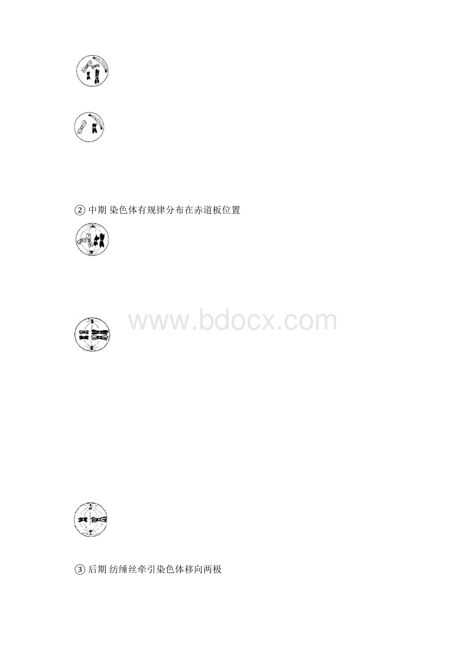 最新人教版必修2高中生物必修2遗传与进化知识梳理导学案.docx_第2页