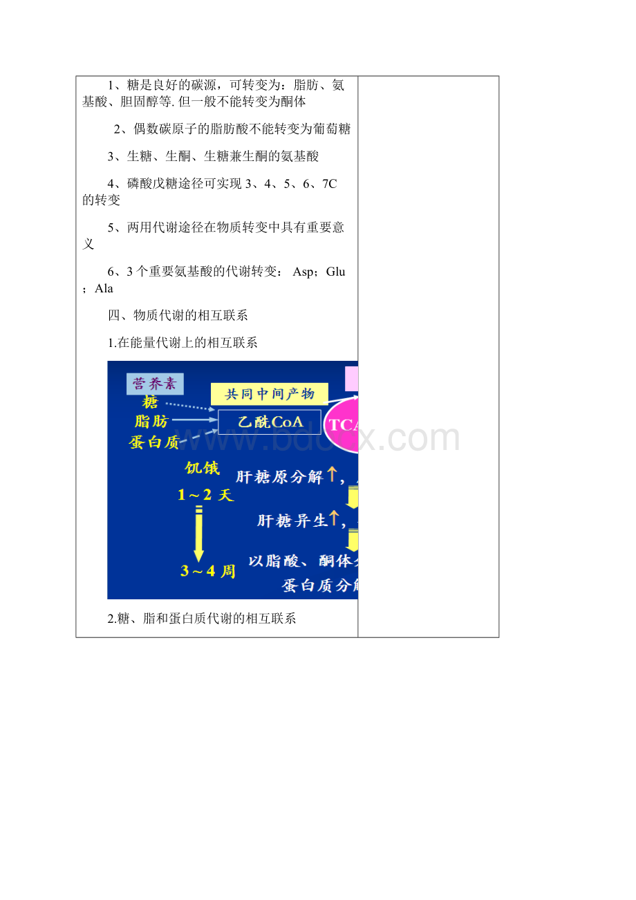 生物化学第十三章血液生物化学2学时.docx_第3页