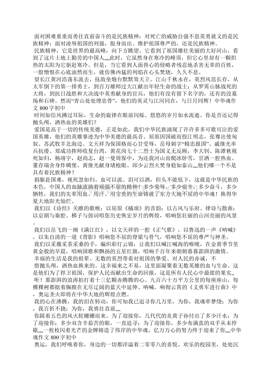 中华魂作文800字初中Word文档格式.docx_第2页