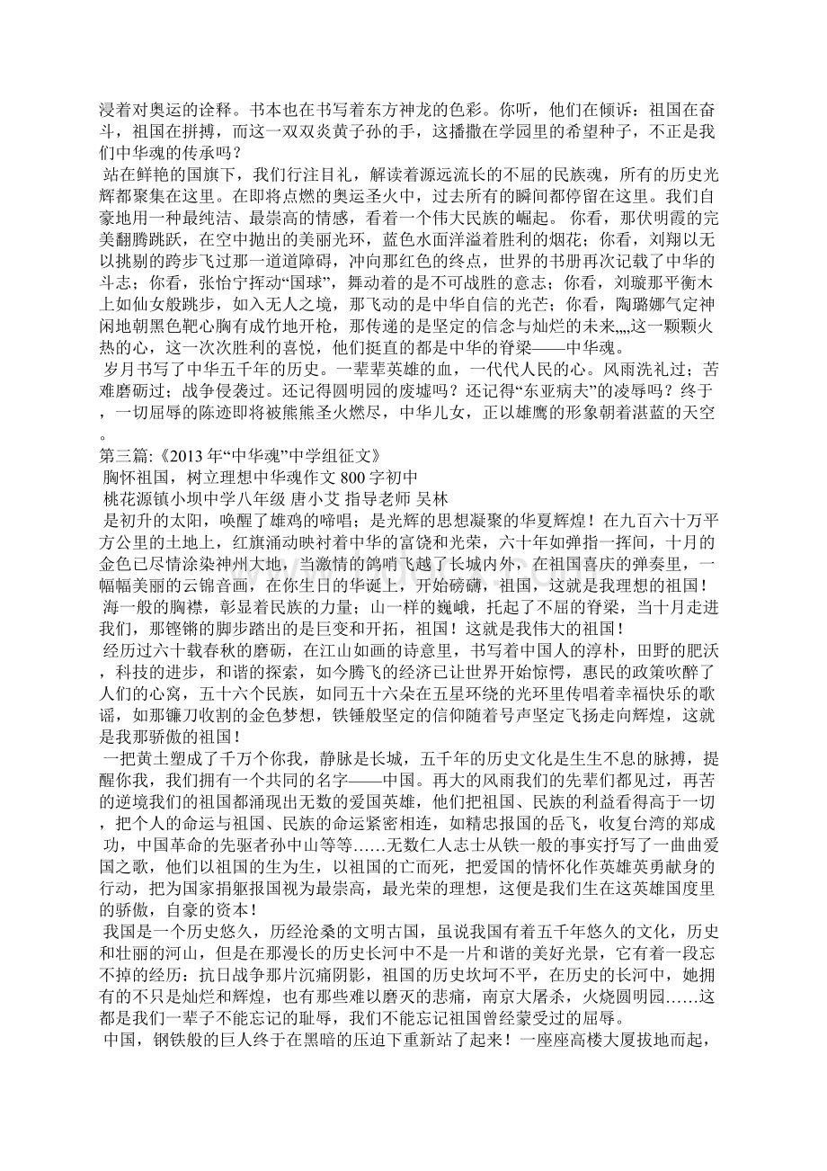 中华魂作文800字初中.docx_第3页