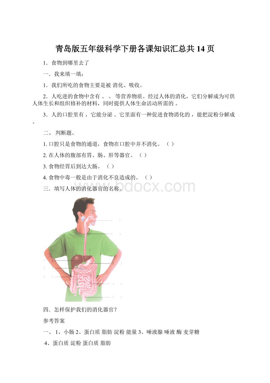 青岛版五年级科学下册各课知识汇总共14页.docx