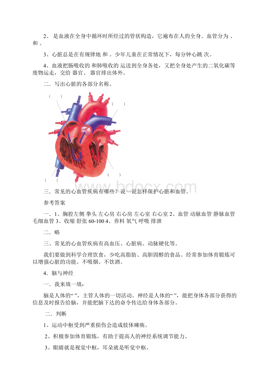 青岛版五年级科学下册各课知识汇总共14页.docx_第3页