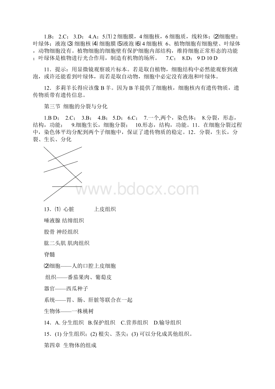 生物七上册已改答案Word格式.docx_第3页