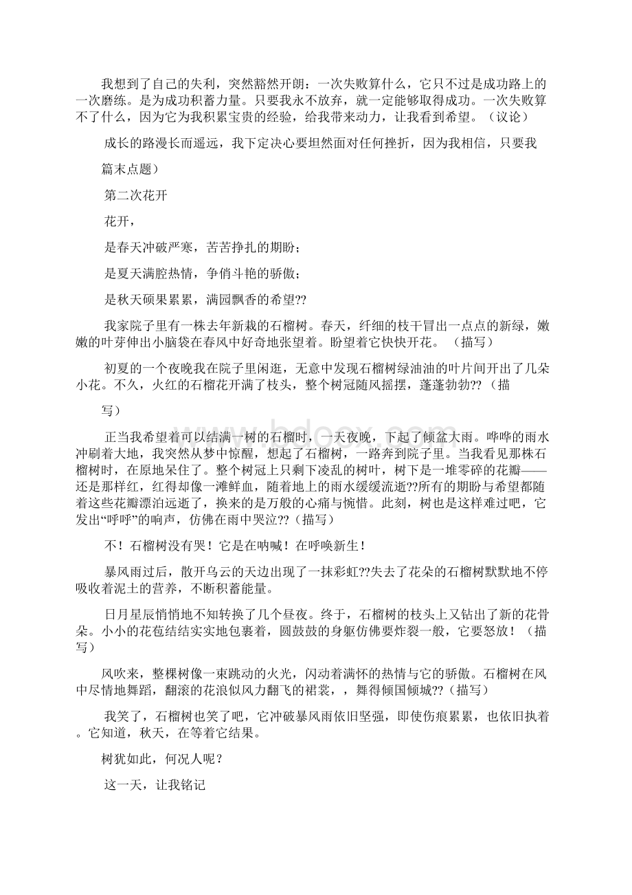 中考作文之中考满分作文托物言志.docx_第3页