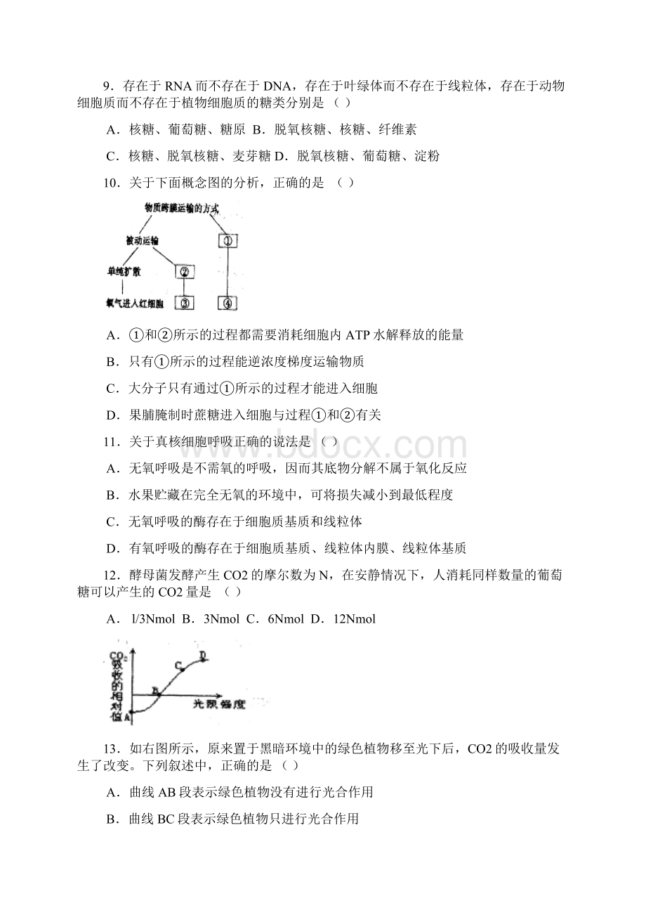 山东省泰安市新泰一中届高三第二次月考 生物.docx_第3页