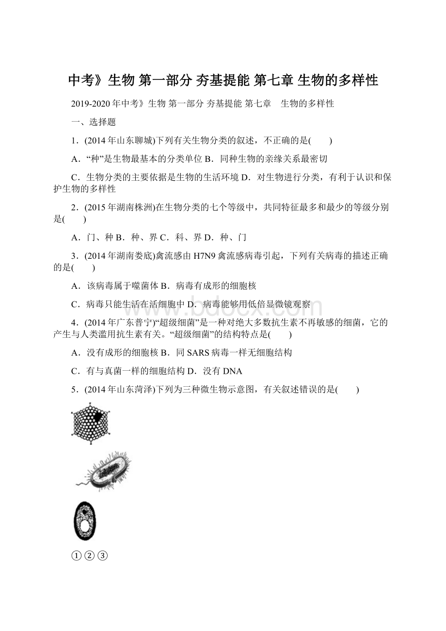 中考》生物 第一部分 夯基提能 第七章 生物的多样性.docx_第1页