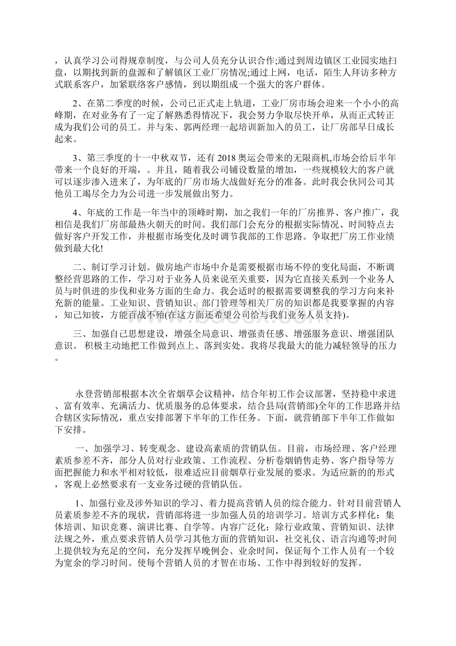 外贸销售人员 工作计划.docx_第2页