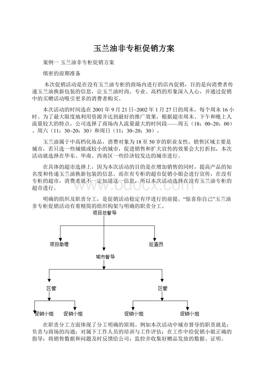 玉兰油非专柜促销方案.docx_第1页