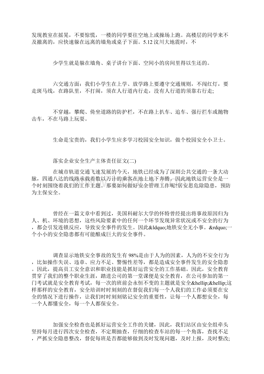 落实企业安全生成主题责任的征文.docx_第2页