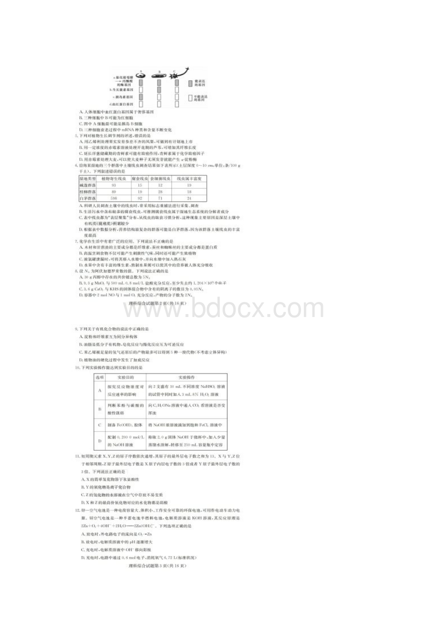 全国百强校首发湖南省师范大学附属中学届高三考前演练四理科综合试题.docx_第2页