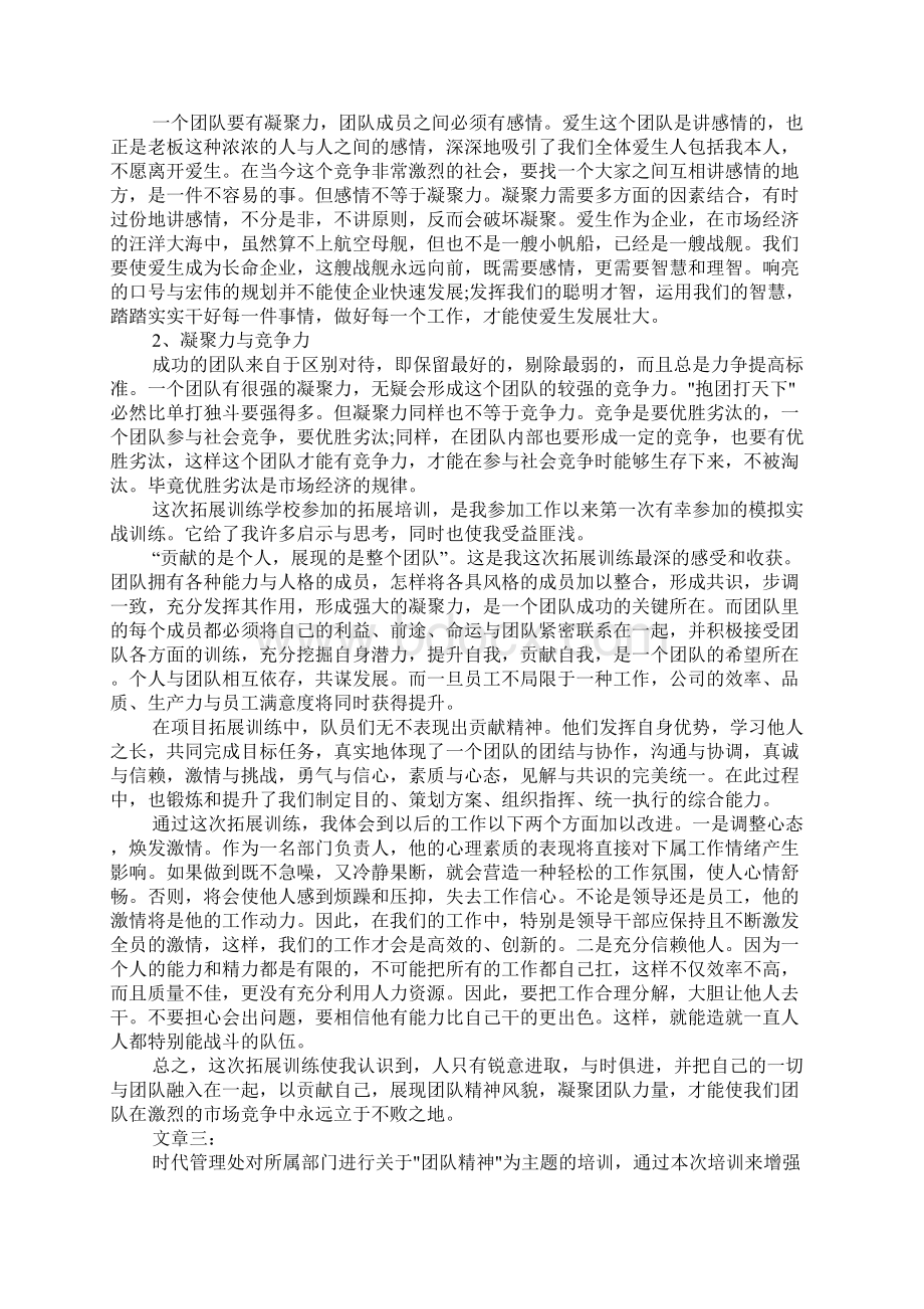 团队精神心得体会文章.docx_第3页