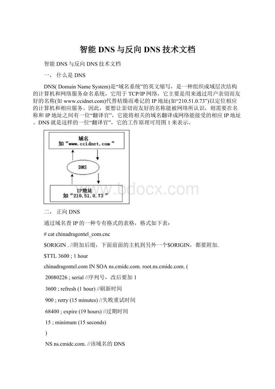 智能DNS与反向DNS技术文档.docx