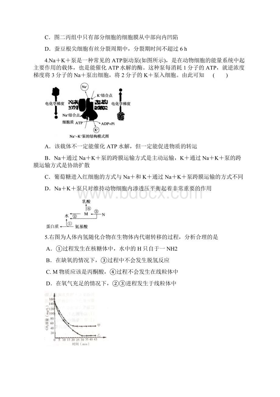 江苏省前黄中学国际分校届高考考前适应性考试生物试题Word下载.docx_第2页