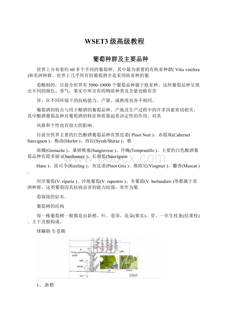 WSET3级高级教程.docx_第1页