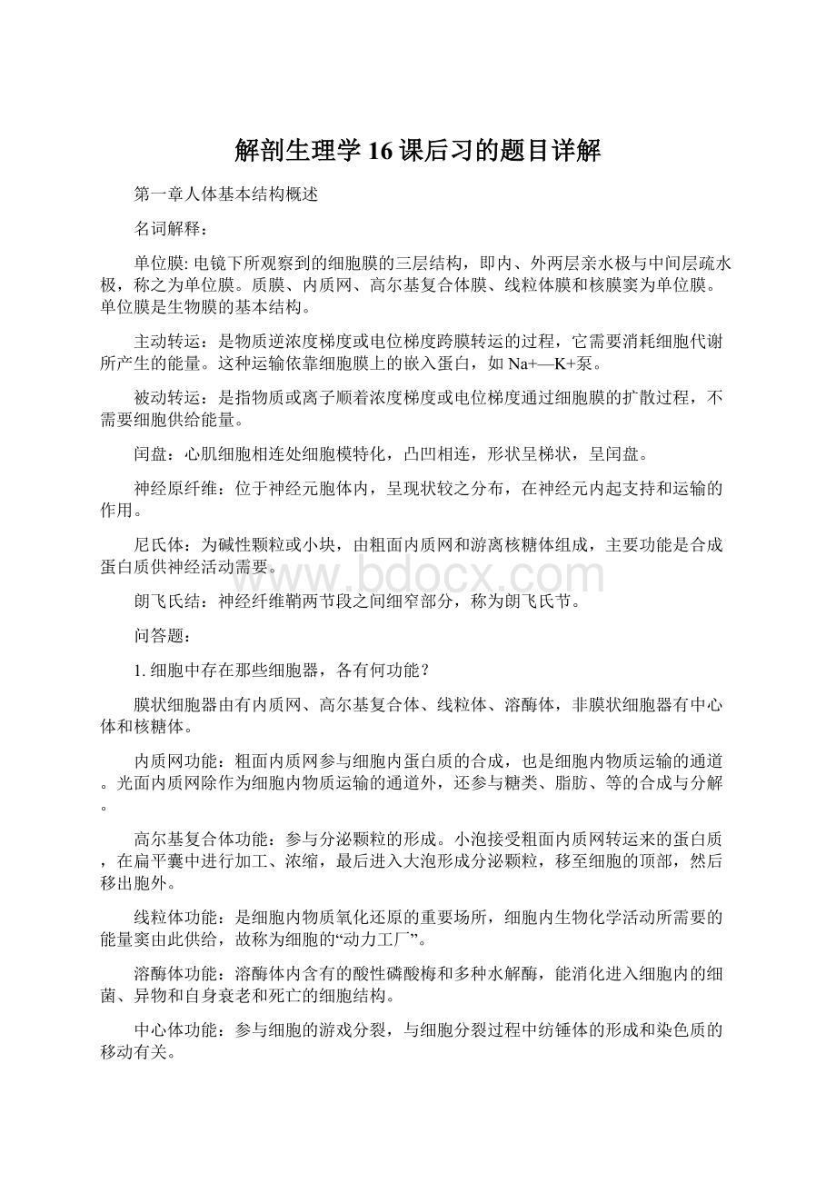 解剖生理学16课后习的题目详解.docx_第1页