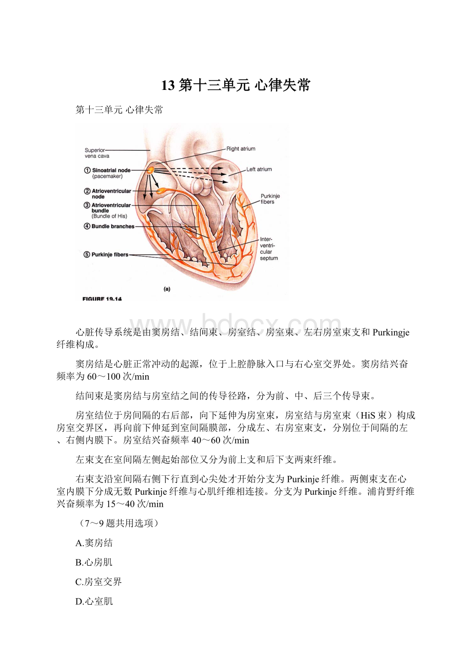 13 第十三单元心律失常.docx_第1页