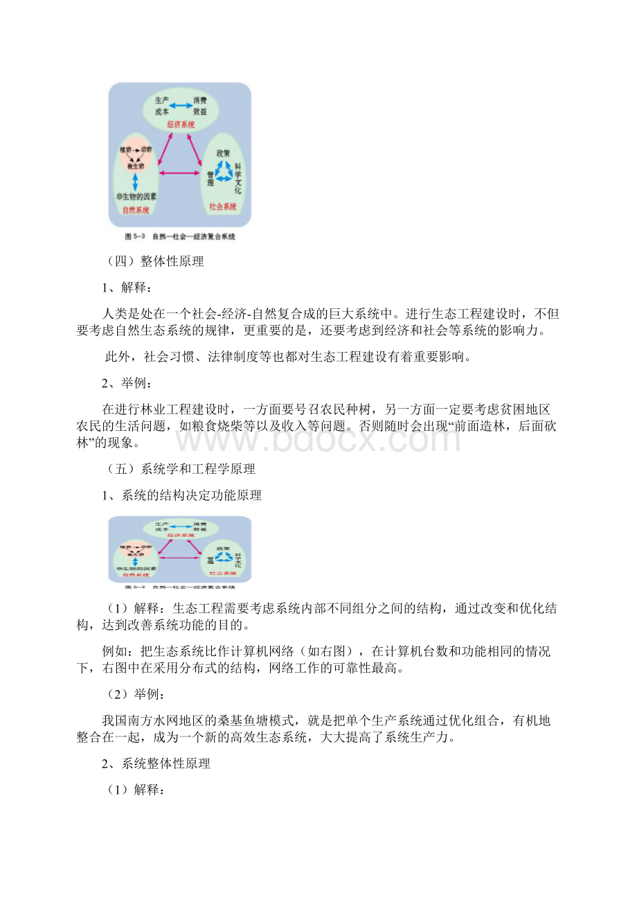 专题5 生态工程 知识点梳理含教材答案Word下载.docx_第3页