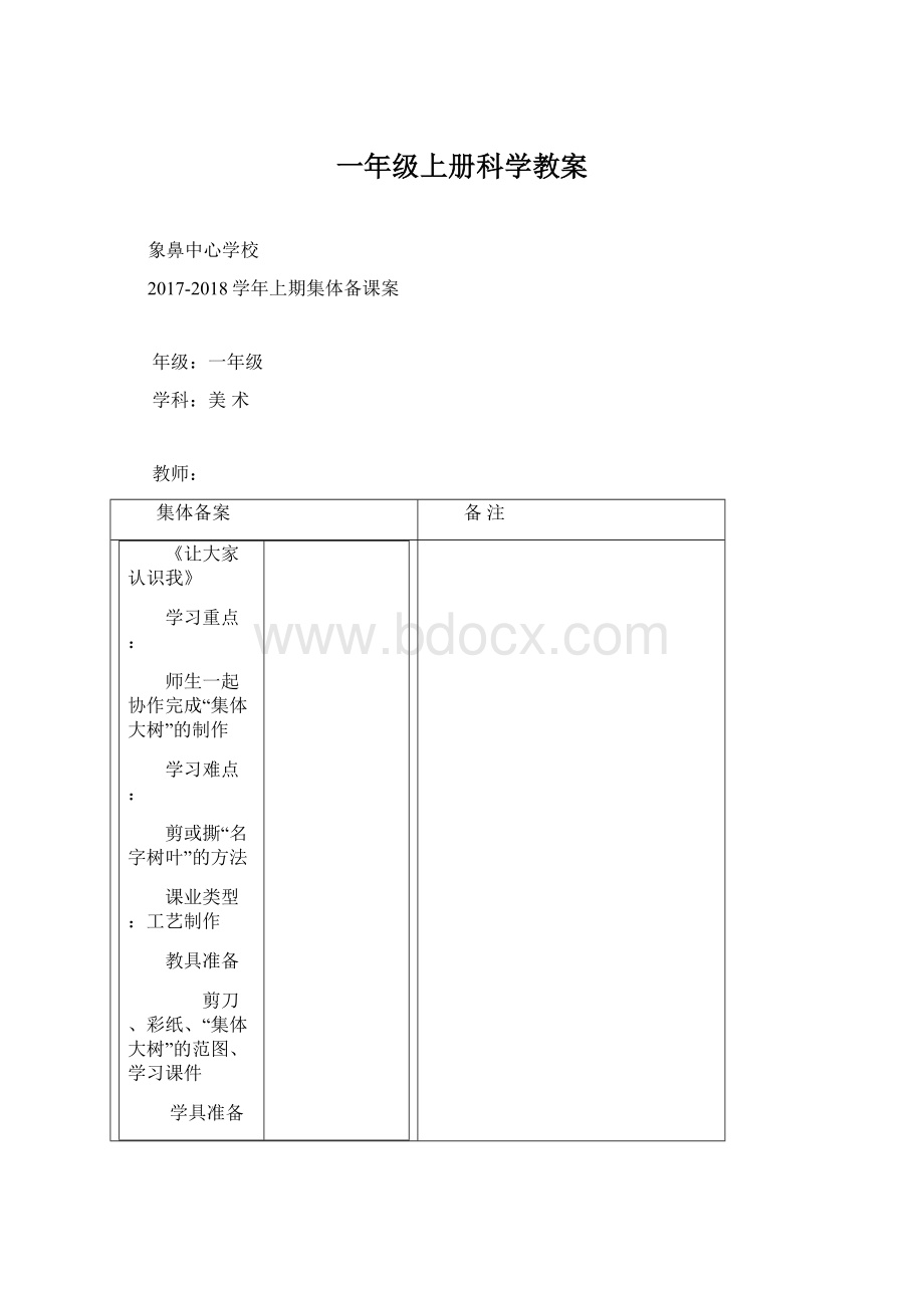 一年级上册科学教案.docx