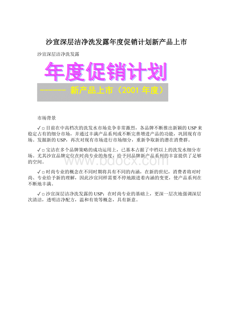 沙宣深层洁净洗发露年度促销计划新产品上市Word文档下载推荐.docx