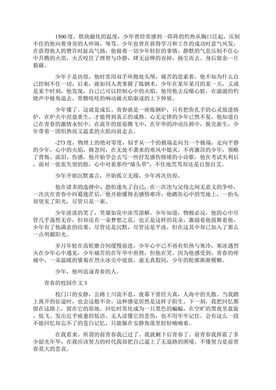 青春的校园作文Word格式.docx_第2页