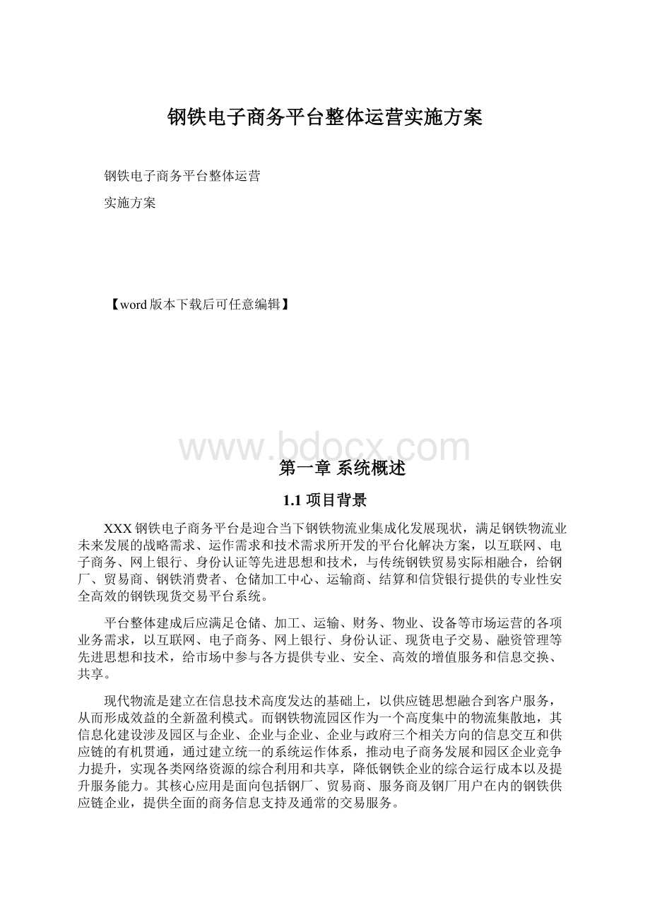 钢铁电子商务平台整体运营实施方案.docx_第1页