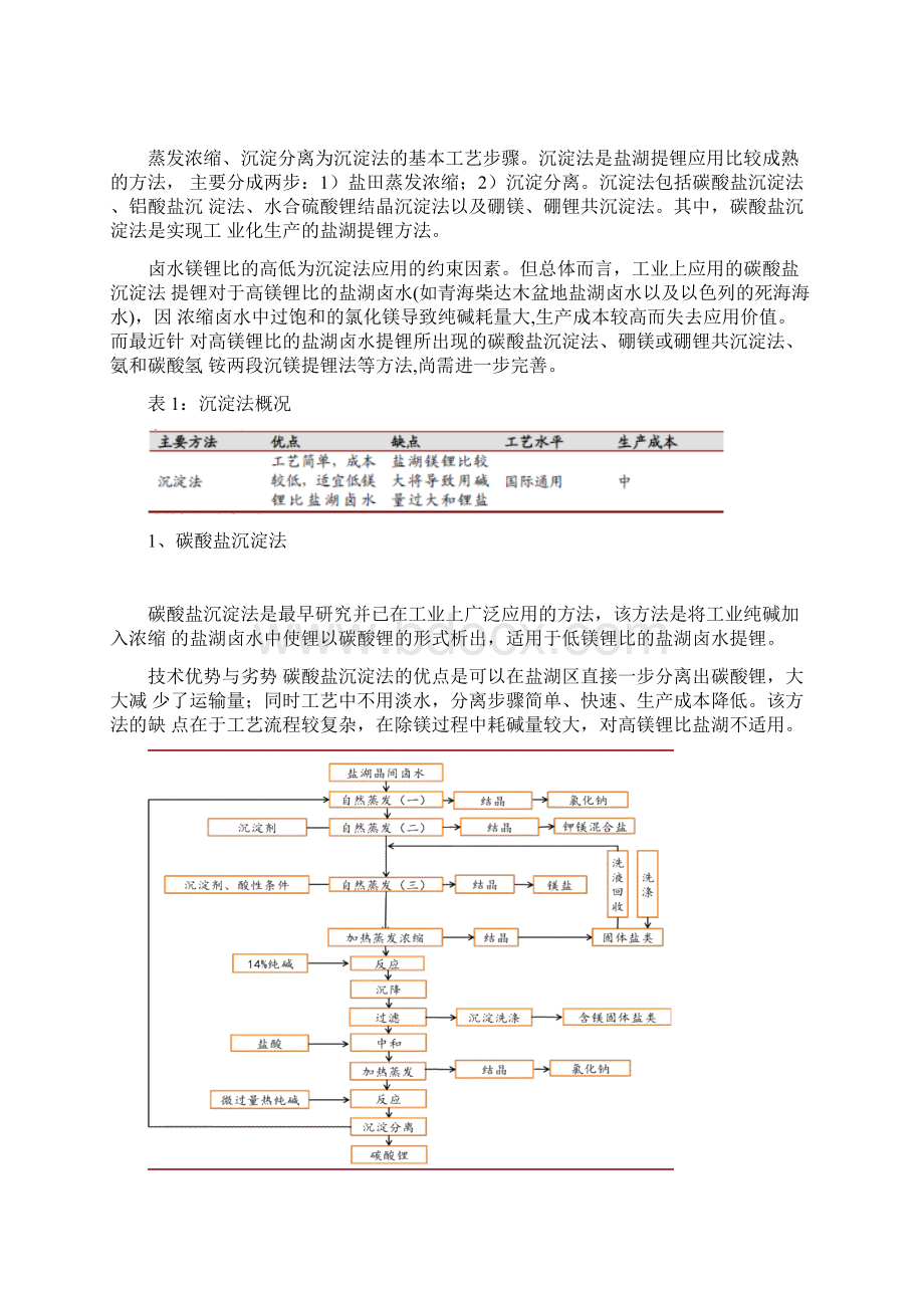 盐湖提锂技术分析报告Word下载.docx_第2页