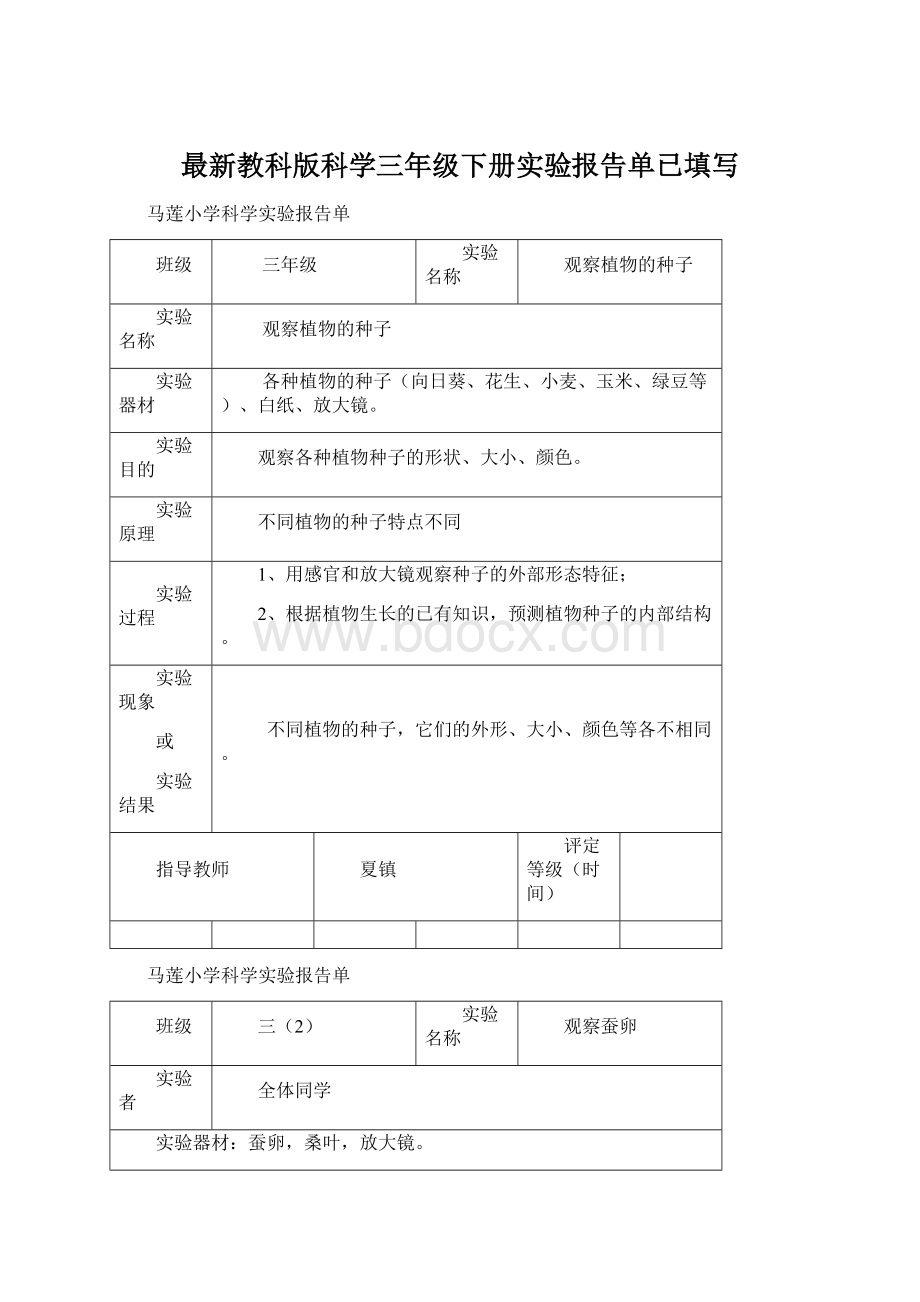 最新教科版科学三年级下册实验报告单已填写Word格式文档下载.docx_第1页