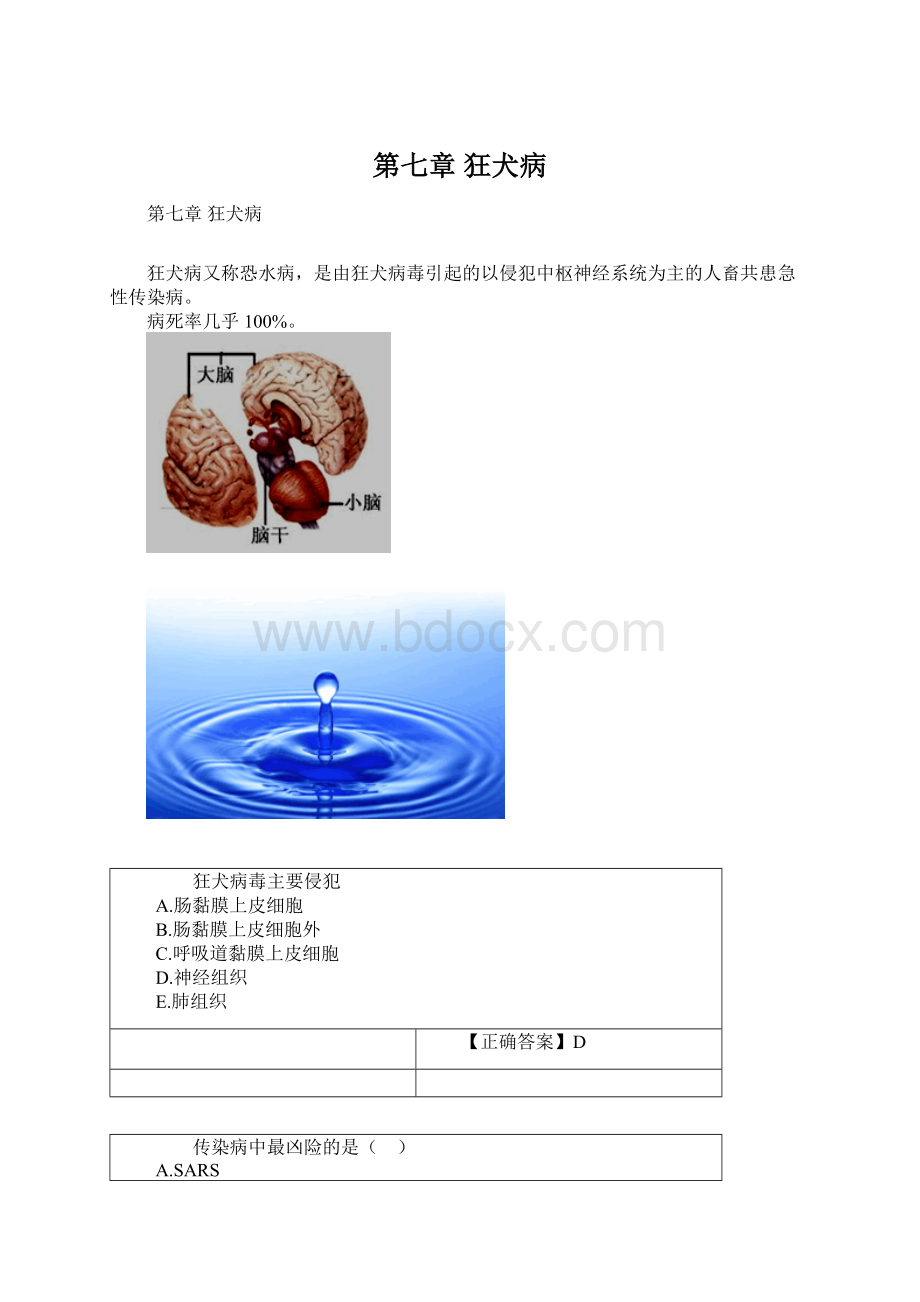 第七章 狂犬病.docx_第1页