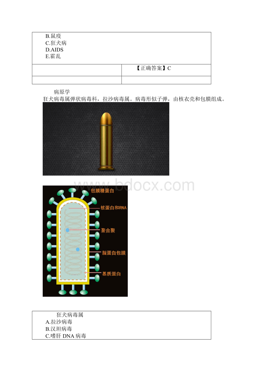 第七章 狂犬病Word格式文档下载.docx_第2页