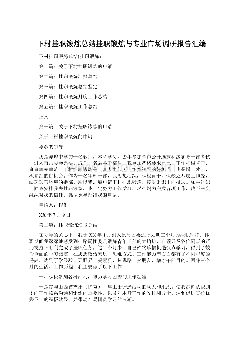 下村挂职锻炼总结挂职锻炼与专业市场调研报告汇编Word格式文档下载.docx