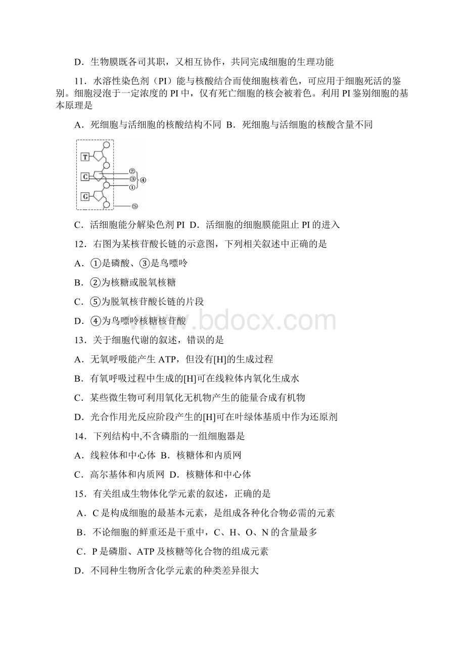 山东省菏泽市学年高一生物上学期期末考试试题A.docx_第3页