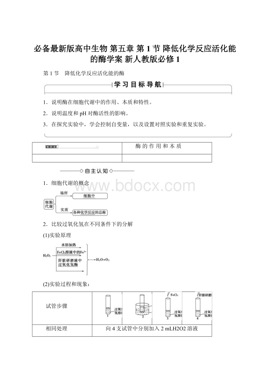 必备最新版高中生物 第五章第1节 降低化学反应活化能的酶学案 新人教版必修1.docx