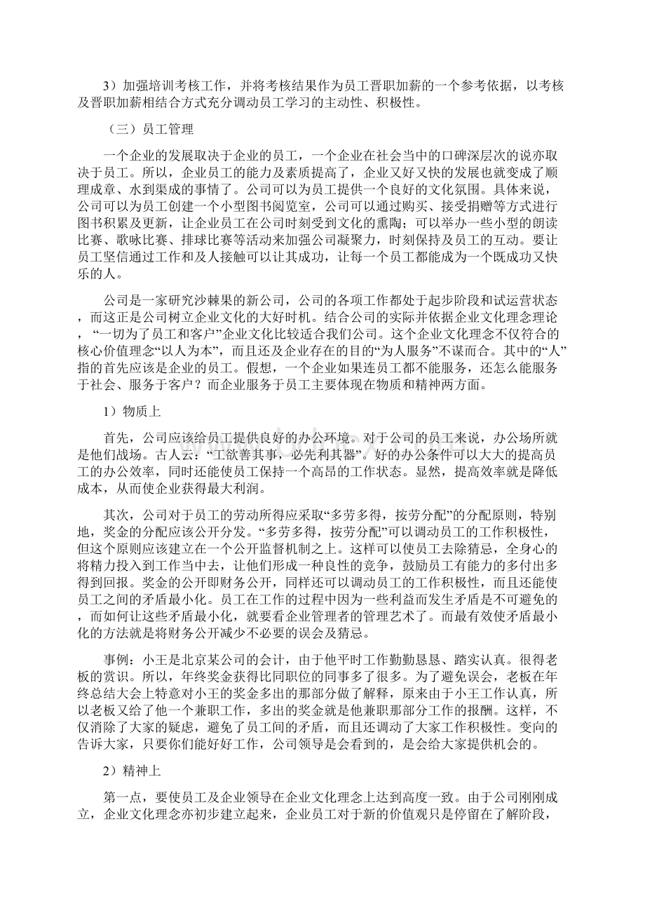 企业管理计划书.docx_第3页