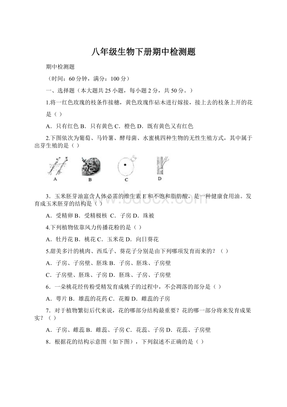 八年级生物下册期中检测题文档格式.docx