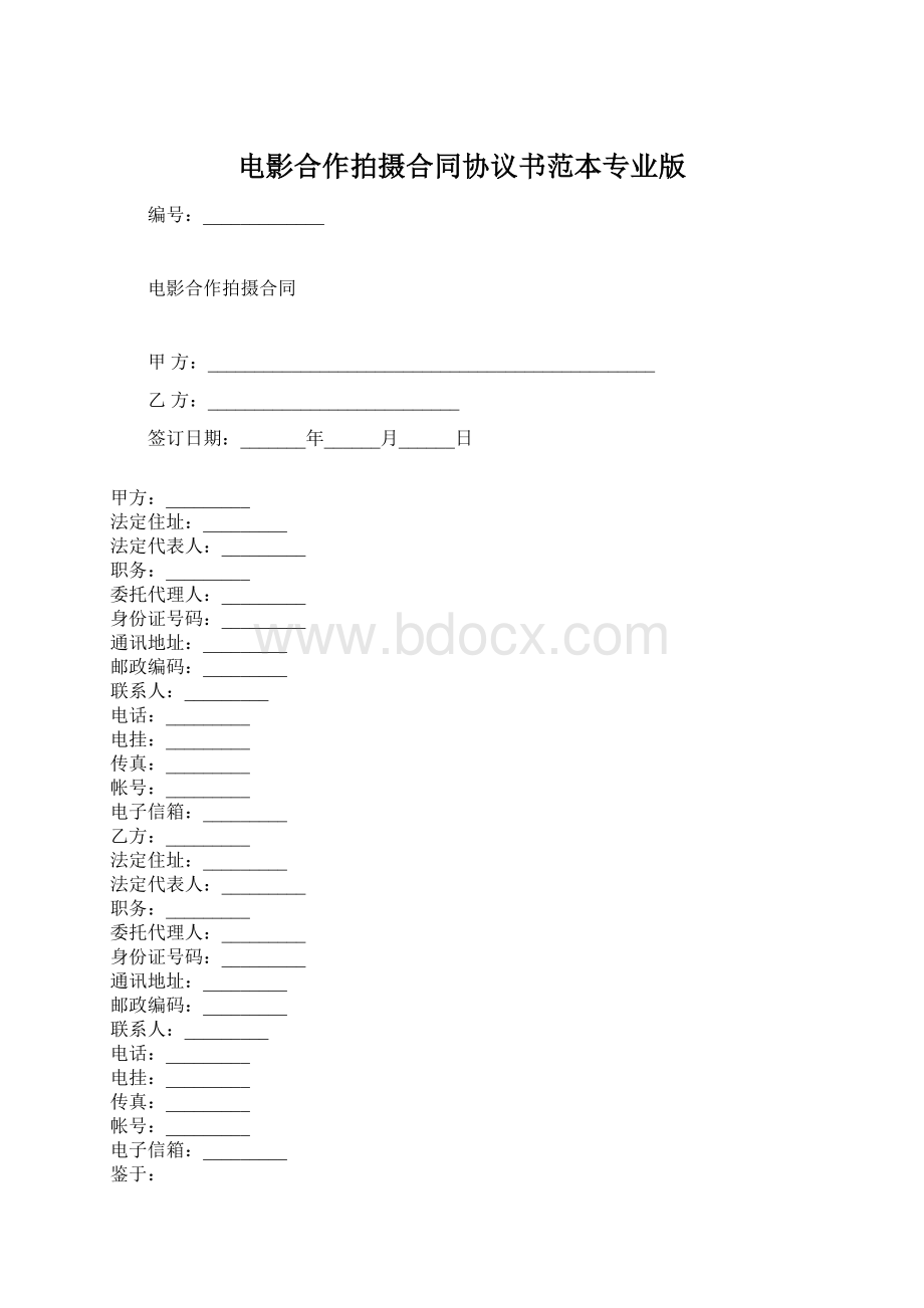 电影合作拍摄合同协议书范本专业版Word文档格式.docx_第1页