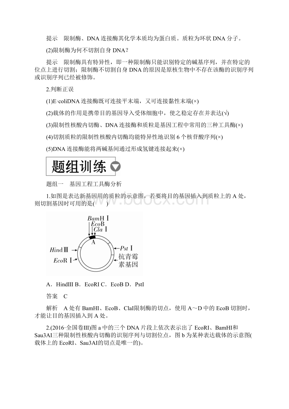 届一轮复习人教版 第34讲基因工程 教案.docx_第3页