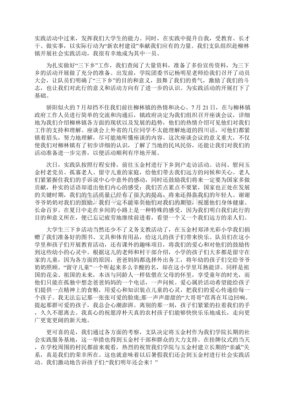 下乡工作总结4篇文档格式.docx_第2页